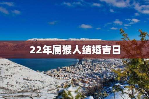 22年属猴人结婚吉日