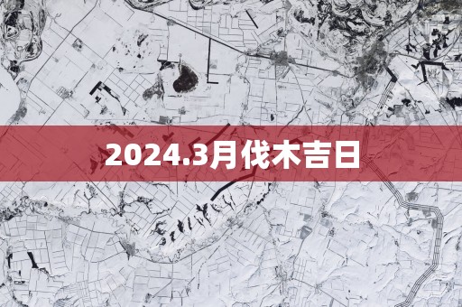 2025.3月伐木吉日