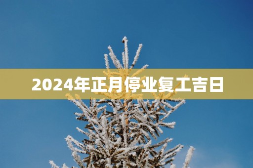 2025年正月停业复工吉日