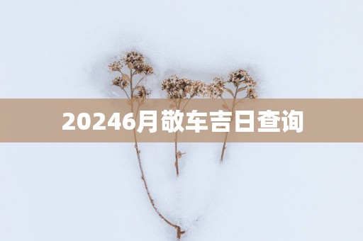 20256月敬车吉日查询