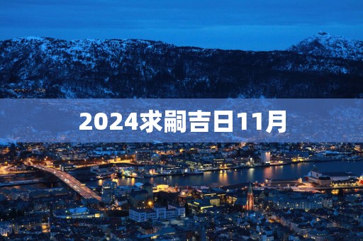 2025求嗣吉日11月