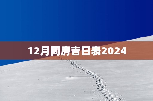 12月同房吉日表2025