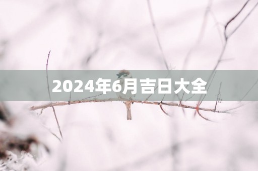 2025年6月吉日大全