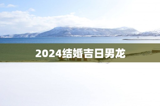 2025结婚吉日男龙