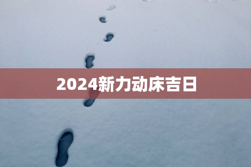 2025新力动床吉日