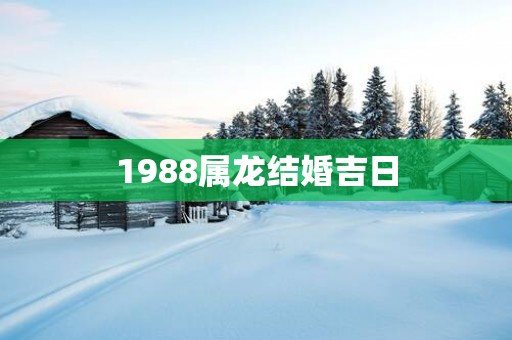 1988属龙结婚吉日