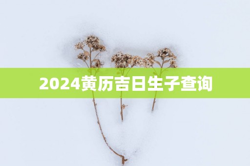 2025黄历吉日生子查询 2025黄历吉日生子查询