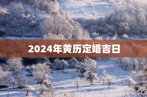 2025年黄历定婚吉日