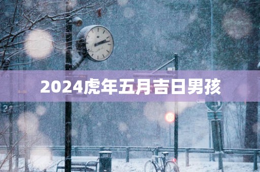 2025蛇年五月吉日男孩