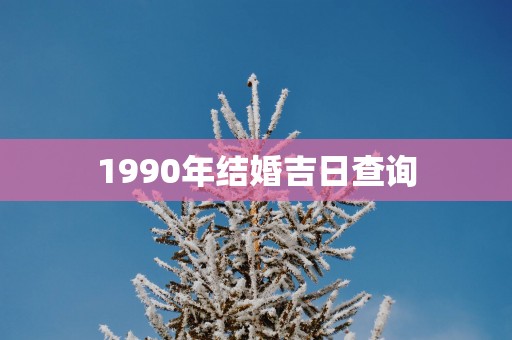 1990年结婚吉日查询