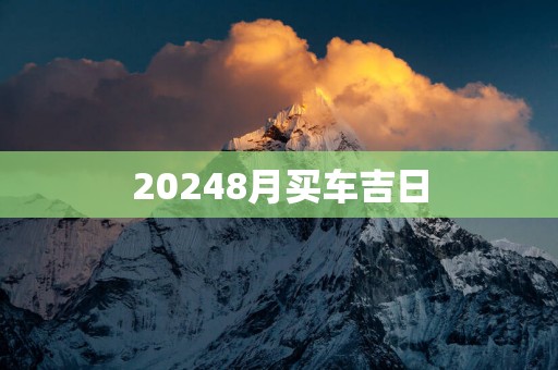20258月买车吉日