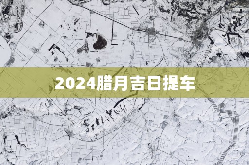 2025腊月吉日提车