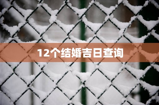 12个结婚吉日查询