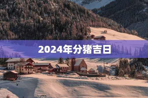2025年分猪吉日