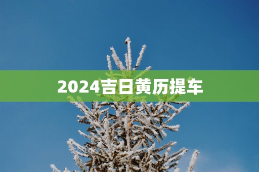 2025吉日黄历提车