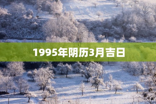 1995年阴历3月吉日