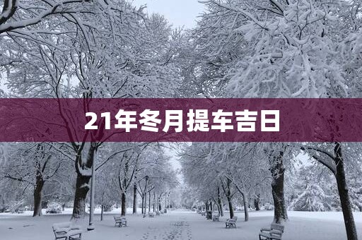 21年冬月提车吉日