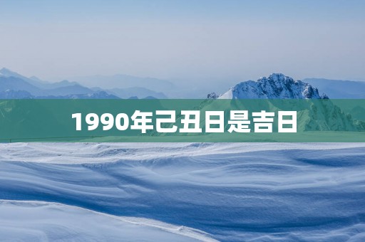 1990年己丑日是吉日