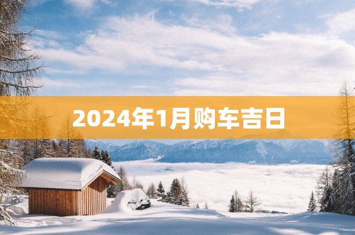 2025年1月购车吉日