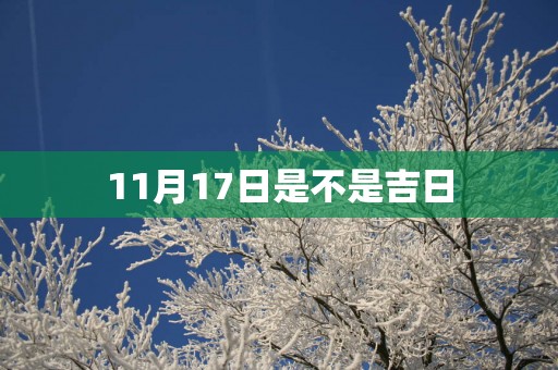 11月17日是不是吉日