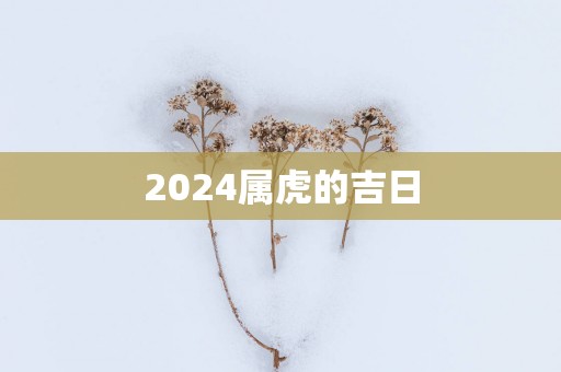 2025属虎的吉日