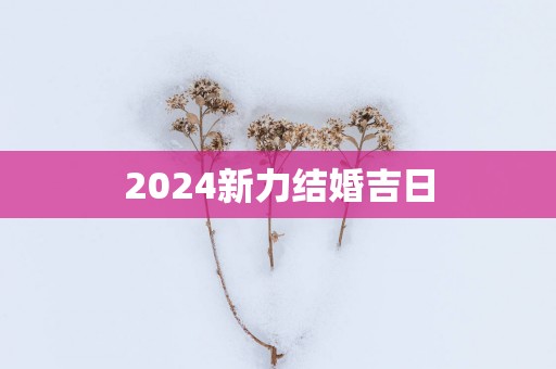 2025新力结婚吉日