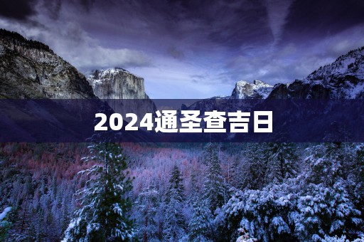 2025通圣查吉日