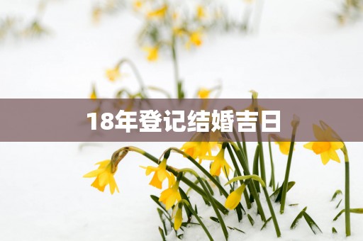 18年登记结婚吉日