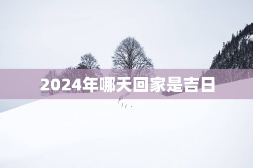 2024年哪天回家是吉日