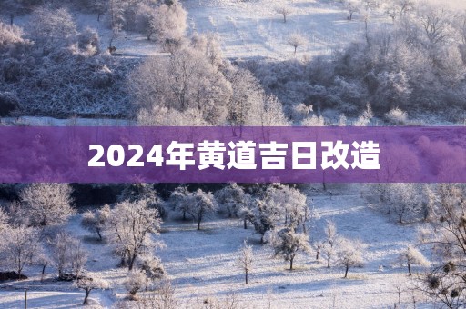 2025年黄道吉日改造