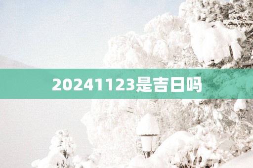 20251123是吉日吗
