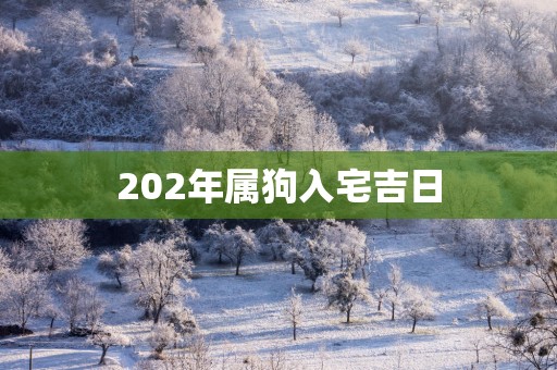 202年属狗入宅吉日