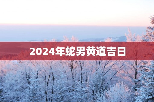 2025年蛇男黄道吉日