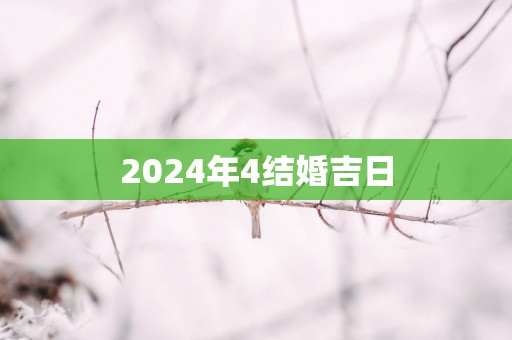 2025年4结婚吉日