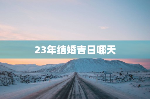 23年结婚吉日哪天