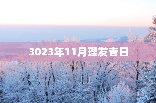 3023年11月理发吉日