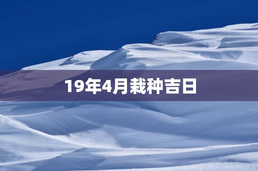 19年4月栽种吉日