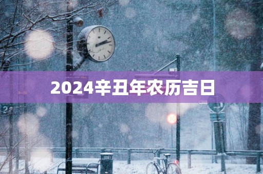 2025辛丑年农历吉日