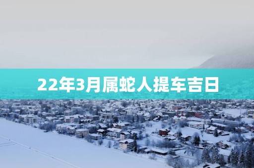 22年3月属蛇人提车吉日