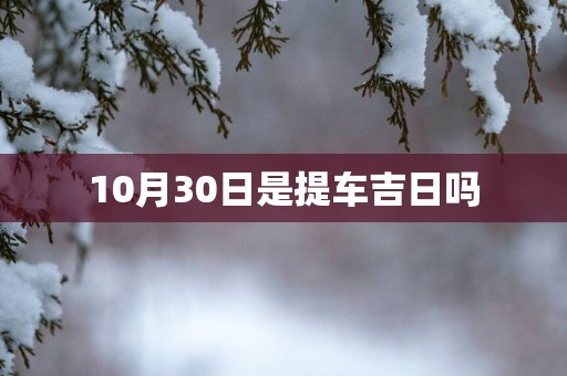 10月30日是提车吉日吗