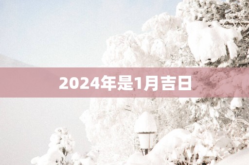 2025年是1月吉日