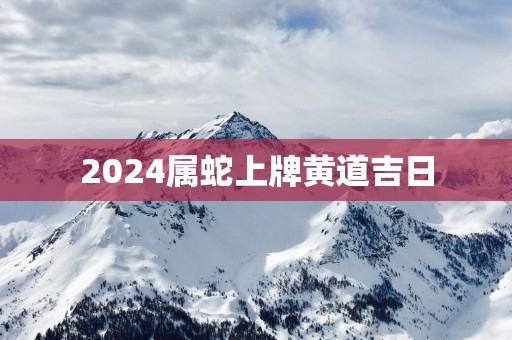 2025属蛇上牌黄道吉日