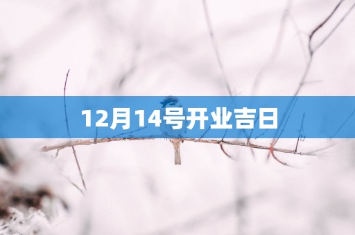 12月14号开业吉日
