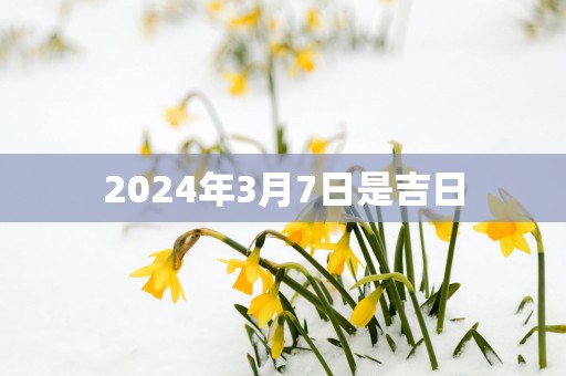 2025年3月7日是吉日
