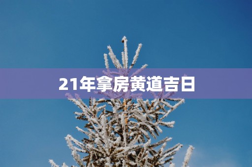 21年拿房黄道吉日