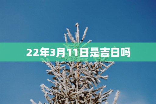 22年3月11日是吉日吗