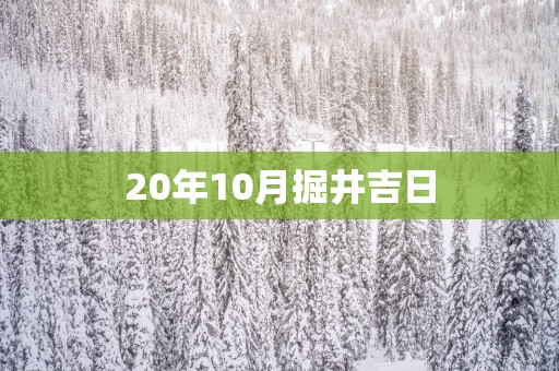 20年10月掘井吉日
