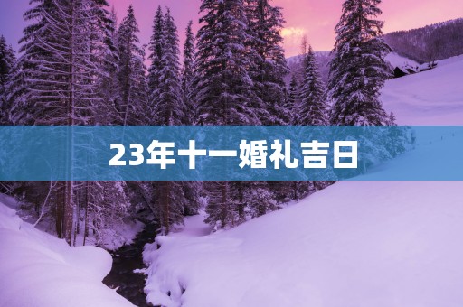 23年十一婚礼吉日