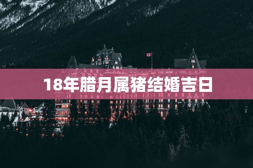 18年腊月属猪结婚吉日