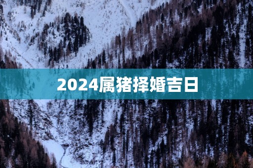 2025属猪择婚吉日